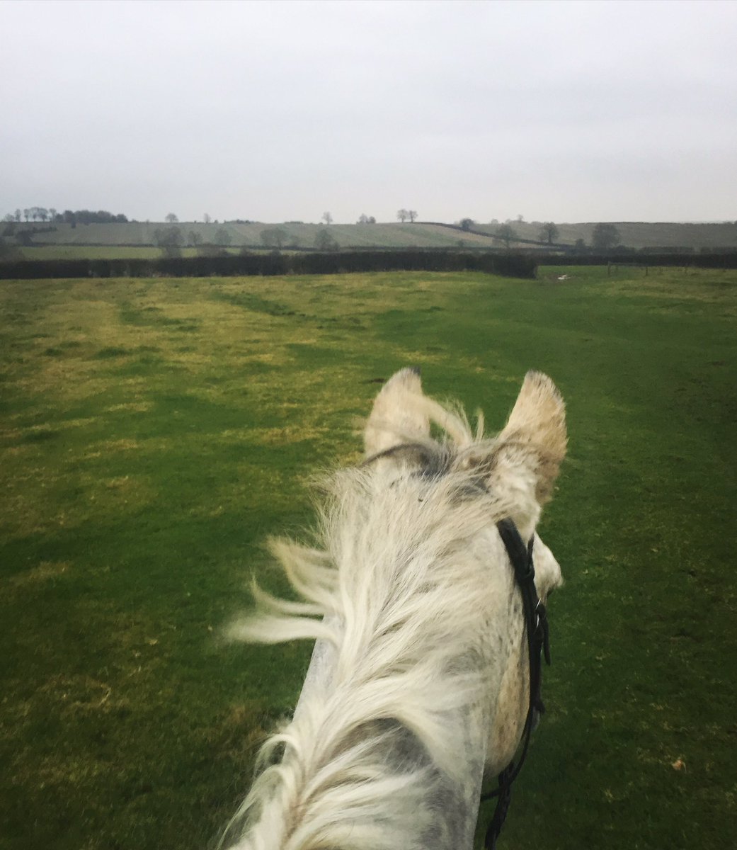 lac_88's tweet image. Bit of a grey view (get it!?😉) but finishing work early enough to ride in the daylight was excitement enough for me! 🙌🏼🐴👌🏼 #midweekwin