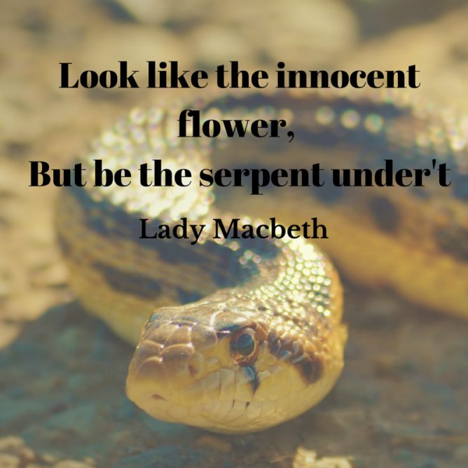 lady macbeth serpent quote