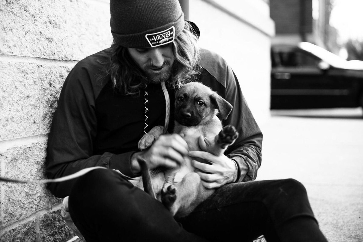 jenna_pics's tweet photo. Look at that cute pup! Photo by Jordan Knight https://t.co/cOXhRyJYSm