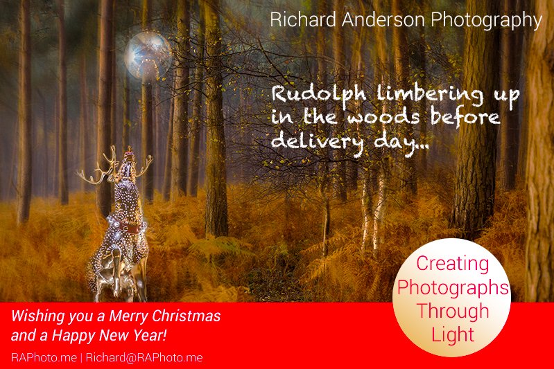 RAphotome's tweet image. Merry Christmas to all my Twitter friends!