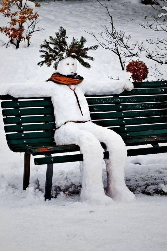 PLOSKI68's tweet photo. Merci @CoralieArtu @FlaviaMiatto @1alert1 @Jilliemary @cheriedede @AlexaThirel @bjcopas @ludditeViv @ana_austen @AnaAlegriaE https://t.co/WBXEPr2KZZ