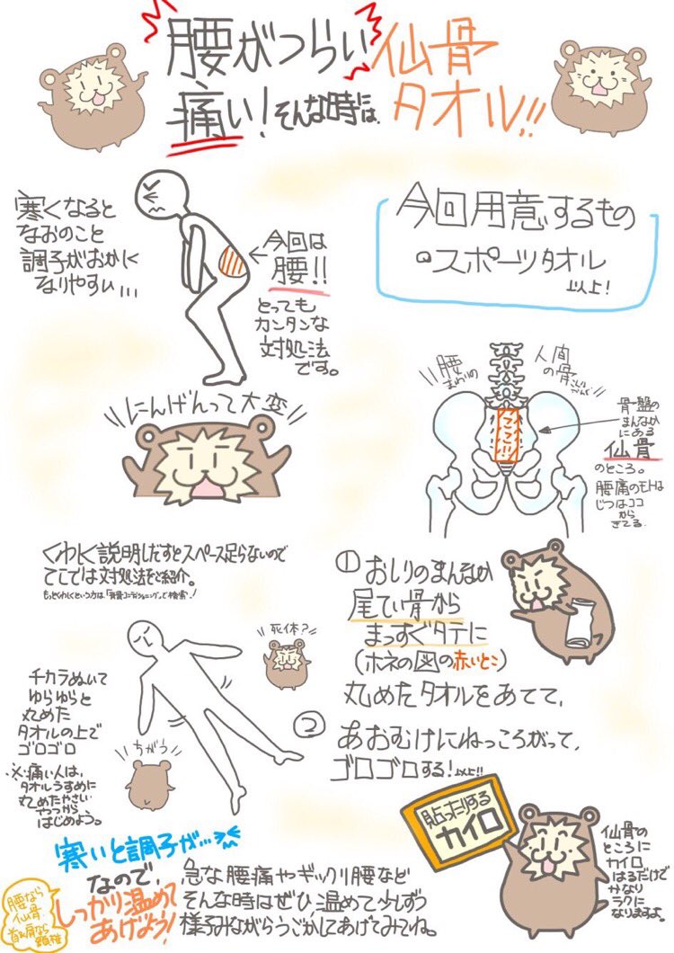 本多薙尋 背骨 در توییتر 冷えると腰痛や座骨神経痛やカカトの痛み膝の痛み等の症状が現れやすいので まずは仙骨をカイロで 温める 足に行く神経そこから出てる そして仙骨タオルだ