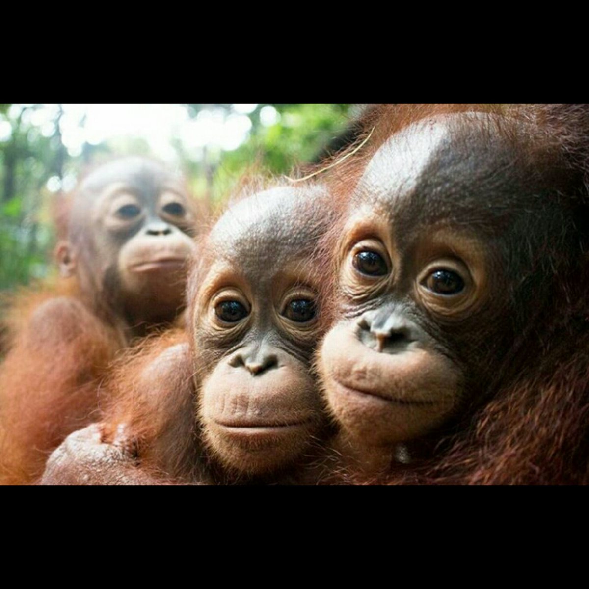 arieza_rahma's tweet photo. Karena cinta itu bukan kita yg ciptakan ,itu hadiah dari Tuhan..
#slmat mlm kamu
#E https://t.co/MLcXZdalZl