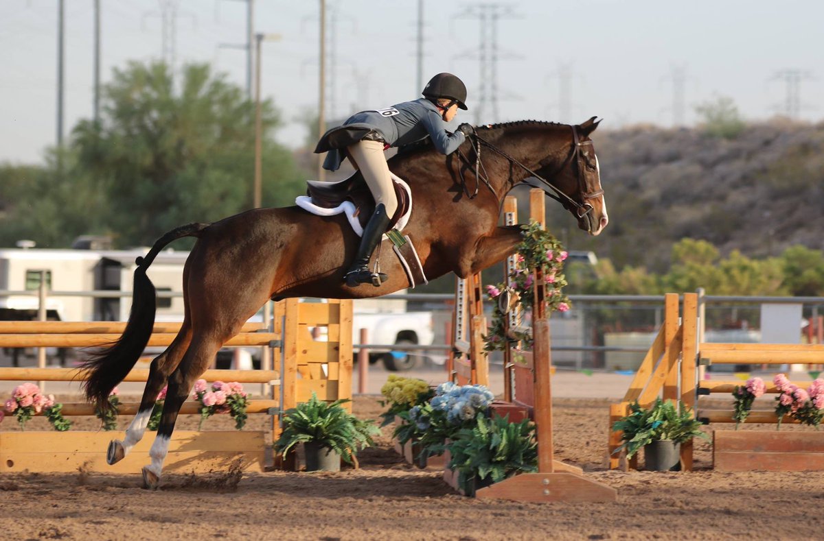 AZHuntJumpAssoc's tweet photo. 2016 #AHJA #JuniorHunter 3'3" #Champion and #ChildrensHunter 13 & Under Champ, Check Me Out, owned & ridden by Mackenzie Carreras. @njcarr1 https://t.co/q5dNTEBKIR