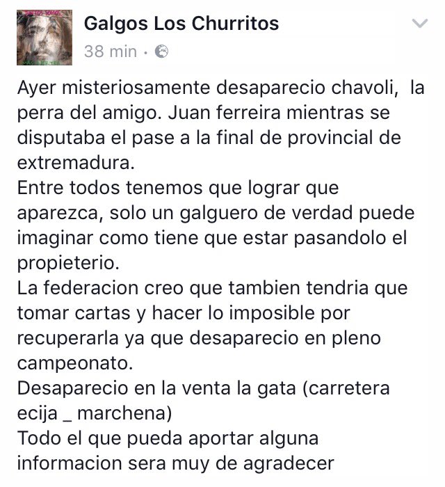 fedgalgosclm's tweet photo. Increíble, en plena Semifinal. RT para echarles una mano! https://t.co/Yw8lemftPu