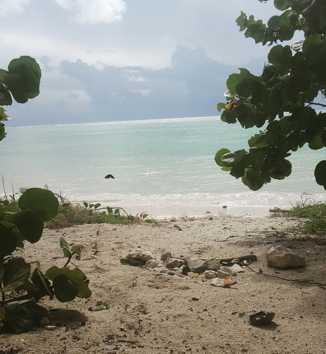 gentrybronson's tweet photo. "...while the tangible has advantages, 
It is the intangible that makes it useful."
-#LaoTzu
#tranquillo #MayanMagic #JediCave #Emptiness https://t.co/NfQofVrMra