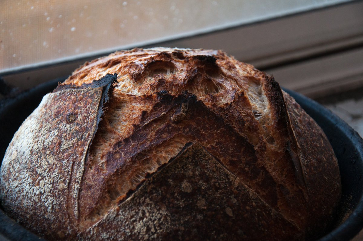 JCPENNEYxDEATHxSQUAD tweet media