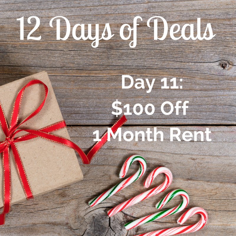 Liveathannah's tweet photo. Sign or Renew today to get $100 off one month's rent! #liveathannah #12daysofspecials #msu #hannahsgotyou https://t.co/4QKARMLjTo