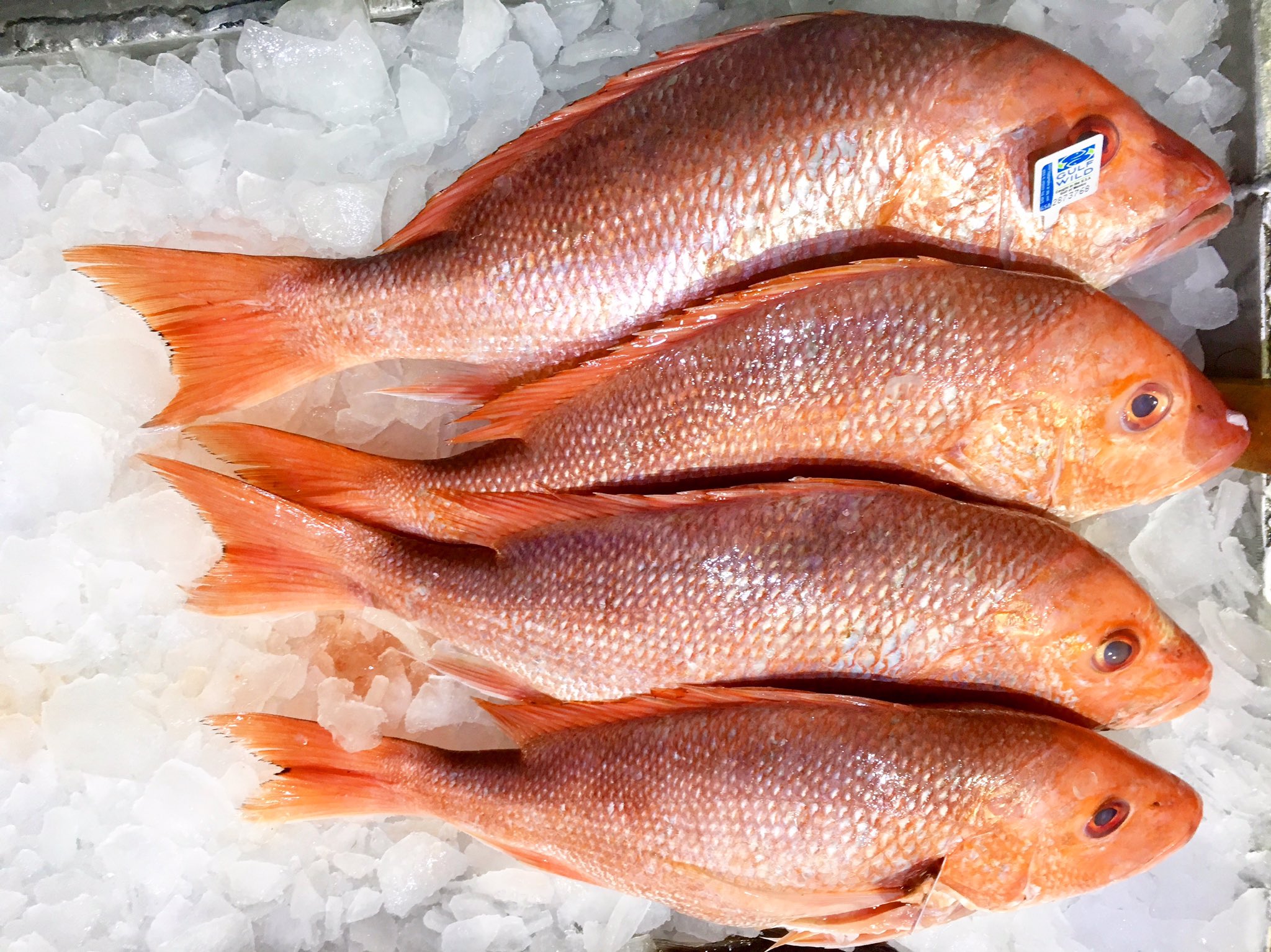 Red Snapper (Whole) - Katies Seafood Market