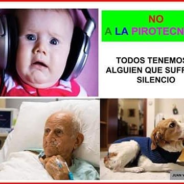 Amor Animal (@amordeanimales) on Twitter photo 
