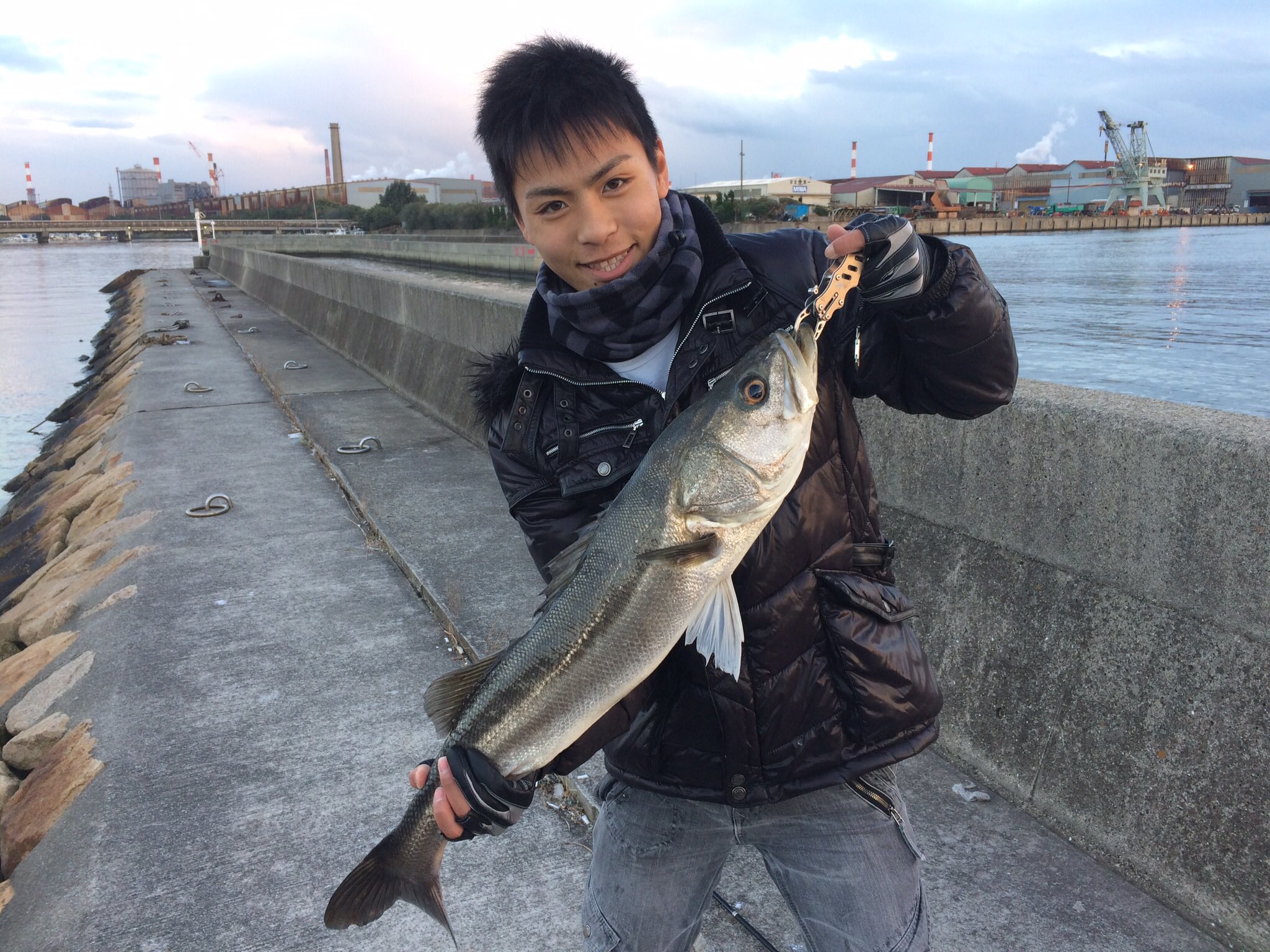 レグザ クオルム 秋以来の久々のシーバス シーバス釣り始めてから初めてのランカー来ました サイズは80くらい アサシンをスローで巻いている所に鈍いアタリ 産卵後なのか弱ってたけどすごい満足てした T Co Uo4scjnc2x Twitter