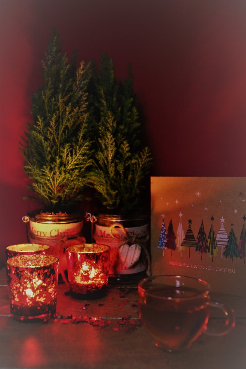 LeopardFriendly's tweet image. Merry Christmas!