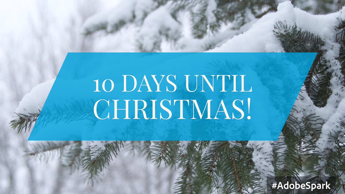 ccard3dev's tweet image. 