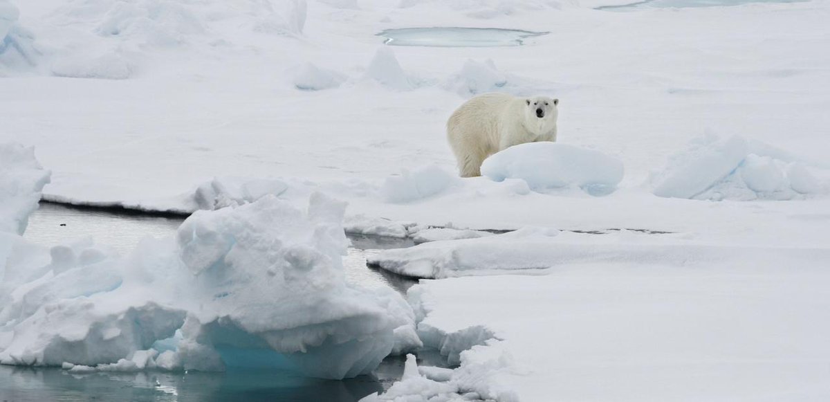 OneHealthCom's tweet image. In an annual review of #EnvironmentalChanges, NASA scientists say 2016 is the most devastating year for Artic melt bit.ly/2hxJeJq