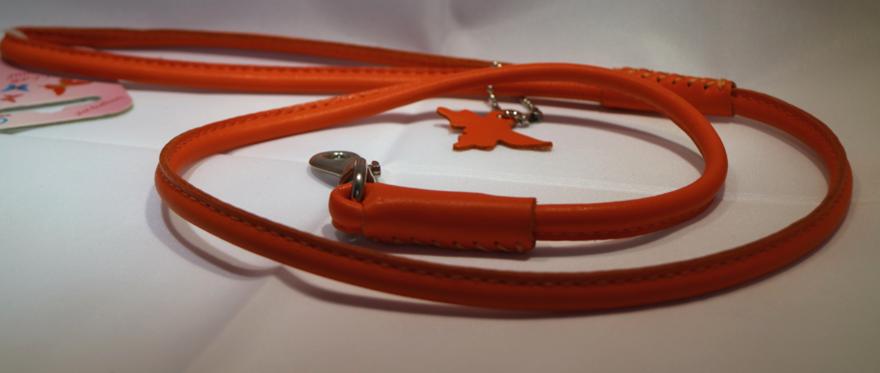 Regalidacani's tweet photo. Prendi il nuovo #guinzaglio per il #peloso! Su #Regalidacani i bellissimi #guinzagli #Collar #glamour 
Info e costi https://t.co/VmJa8kV0Pb https://t.co/mhhK1DT7dU