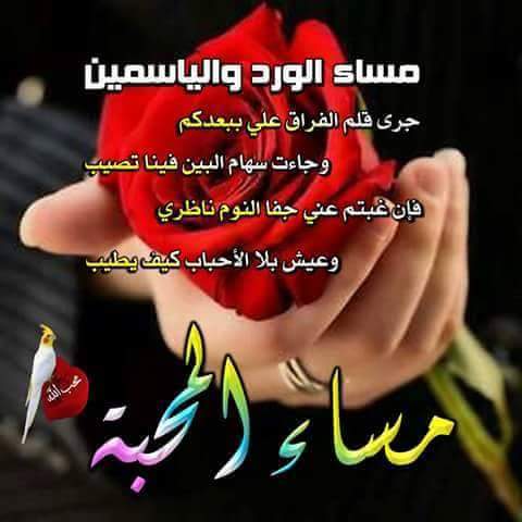 اللهم في هذا المساء احفظ أحبتي من كل مكروه واغفر ذنوبهم وزيد حسناتهم وبعد الهم والحزن عنهم ويسر أمورهم ولا تفرقهم