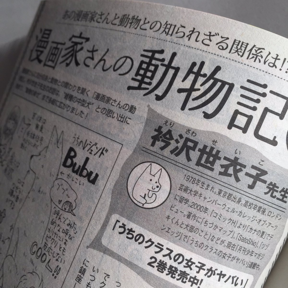 【発売中】月刊YOU1月号「漫画家さんの動物記」というコーナーで、動物にまつわるインタビューを受けました。初めて飼った犬の話から、クヌートに会いに行った話、片野ゆかさん原作の「ツヅキくんと犬部のこと」のお話などしています。