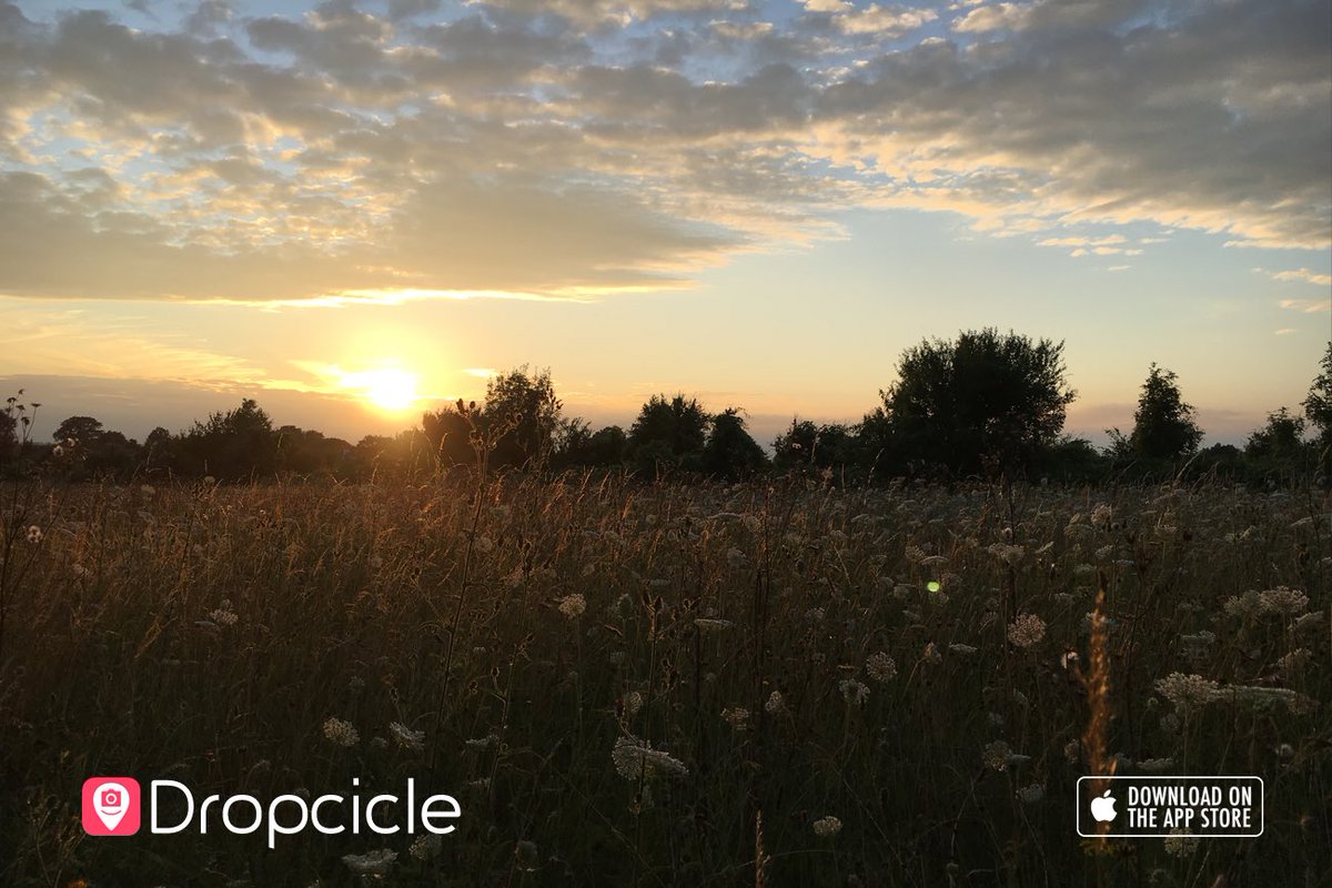 Dropcicle tweet picture