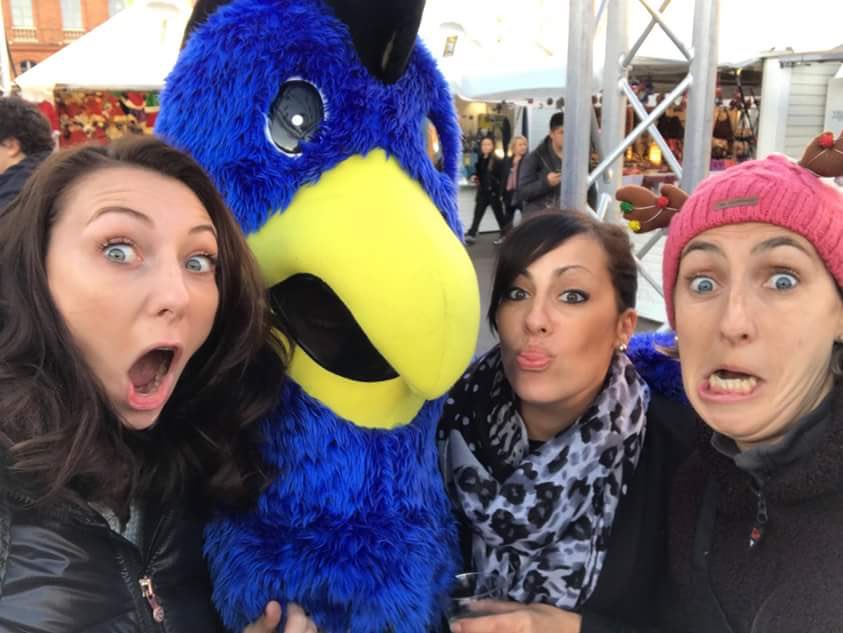 FENIX_HB's tweet photo. Après cette belle promenade, @FENIXOU_31 rentre dans son nid...
#FenixouInTheCity 
Merci à tous ! 🐥💙 https://t.co/tYIG46DKEY