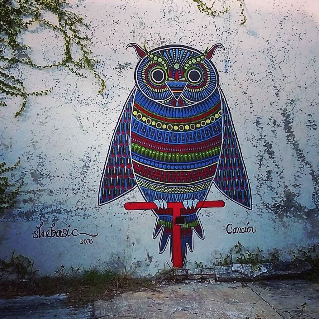 TinchoG87's tweet photo. Sabiduría. #Graffiti de #Shebasic en #Cancun
#art #arte #streetart #wallporn #artecallejer… https://t.co/b6jd22pWgr https://t.co/Cdl5RR56mZ