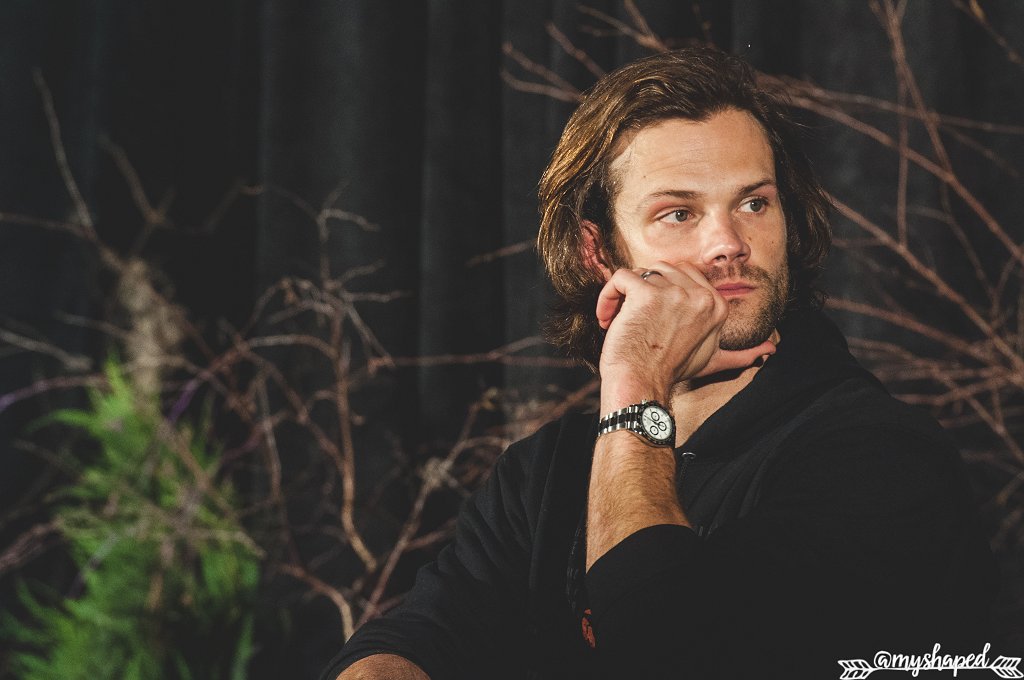 bestjaredspics's tweet photo. https://t.co/xc1YDLVVdc