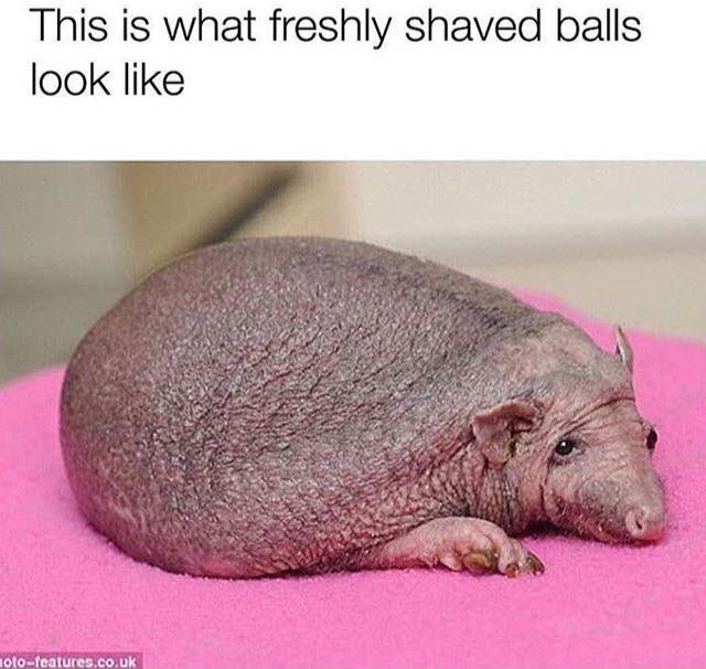 I had to post this. 😂 oh, I'm dying ha ha ha https://t.co/D0bN7yYS4B<a href="/tag/happycamper"class="tags"><span>#happycamper</span></a>