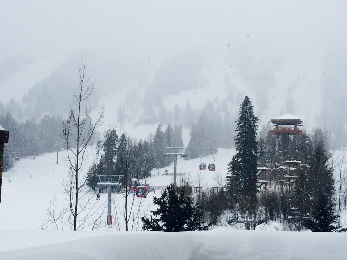 Winter wonderland today! @jhski #jhdreaming #jacksonhole  @FSJacksonHole #fourseasons #incredibleview #cozyfireplace #snowyday