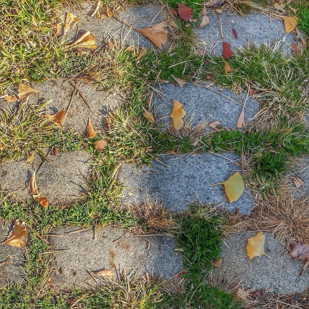 0004studio's tweet image. Don’t take anything for Granite. Some green on this blistery cold day. #graniteroad #puns … ift.tt/2hLrfzL