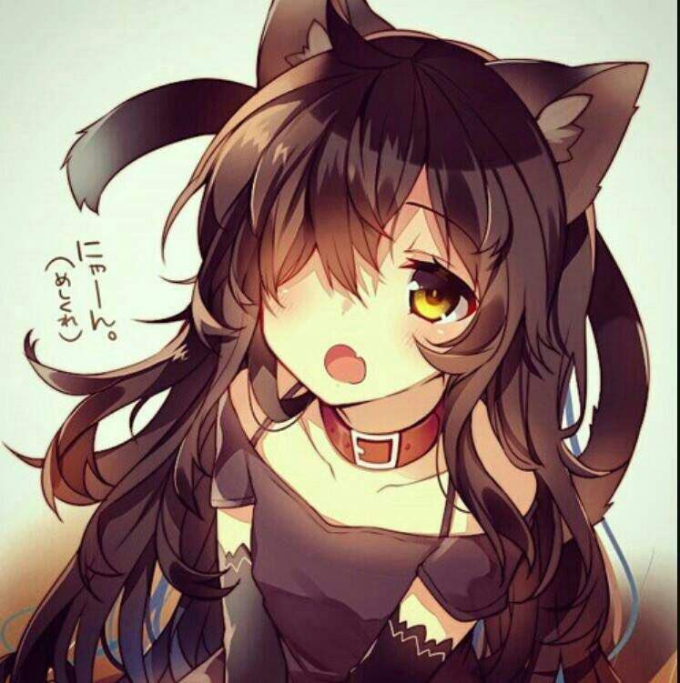 KatKitMow's tweet image. KitKat whines as she sits on the couch, her ears lay flat as her tails sway. She paws at you, pouting. 

#OpenRP