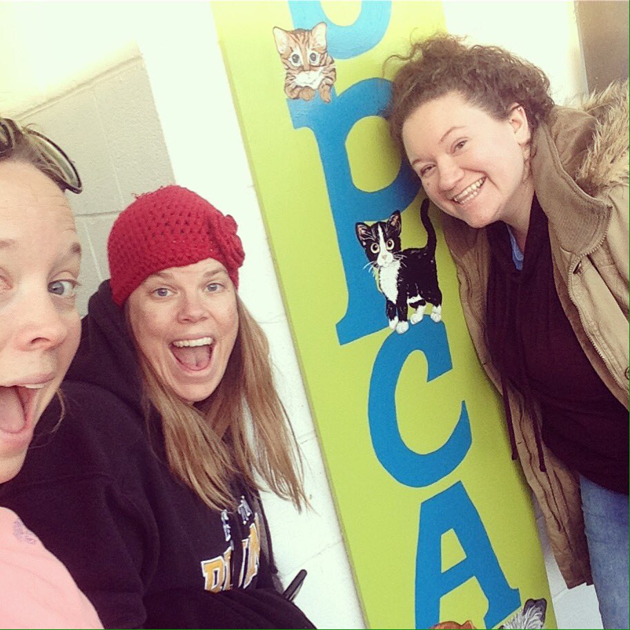 MegsFitzgerald's tweet photo. Team @Centerline in action today @wakecountyspca! #centerline100 https://t.co/DGyZjlDlCQ