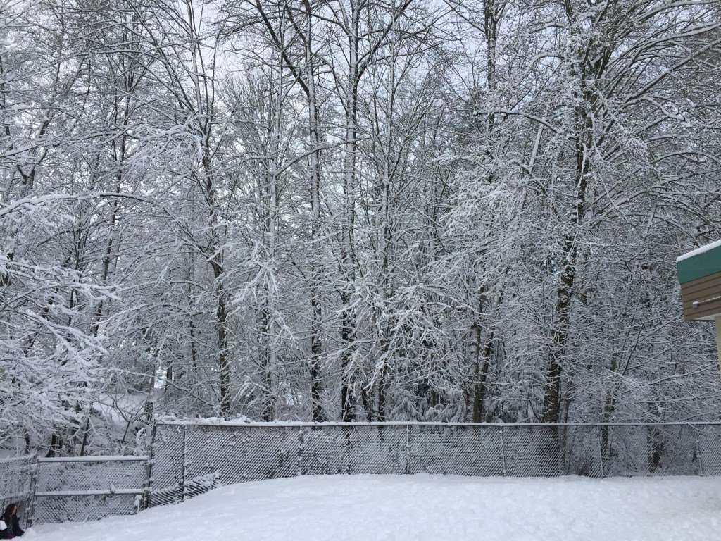 Bear Creek Elem. tweet media