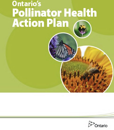 OWMA1's tweet image. BREAKING: @Ongov launches action plan to protect pollinators #PollinatorHealth #onpoli news.ontario.ca/omafra/en/2016…