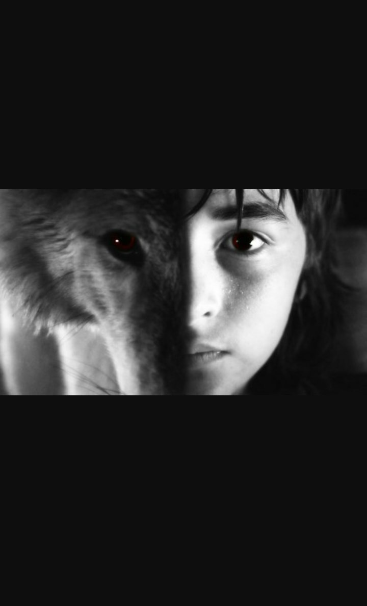 GhostSnow13's tweet image. 