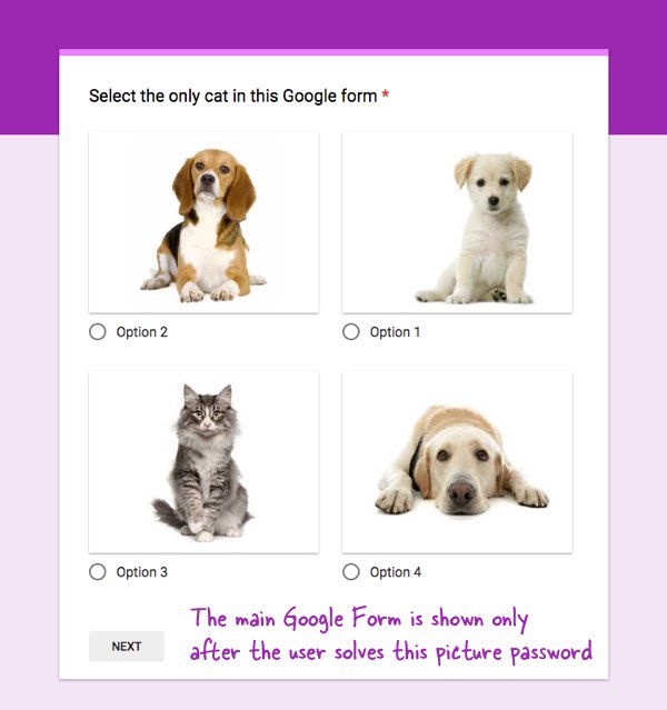 Google Forms - Picture Passwords