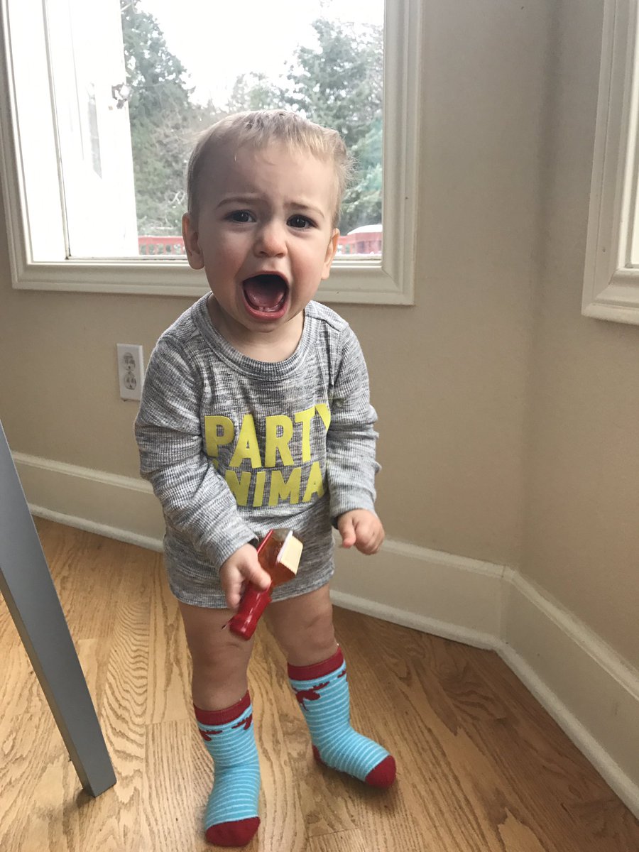 MoreySoler's tweet photo. Snow day, time to party (it's sealed, calm down) #ilearneditbywatchingyou #partyanimal #snowday #wildchild https://t.co/rFSJk0XHp0