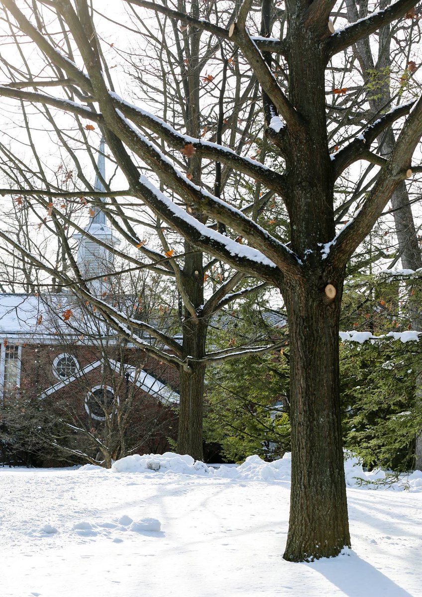 penn_state's tweet photo. It's snowy and cold but still oh so pretty at University Park. Thanks, @SwindleMemphis for the #PSUwinter photos! https://t.co/dkquFcDAzX