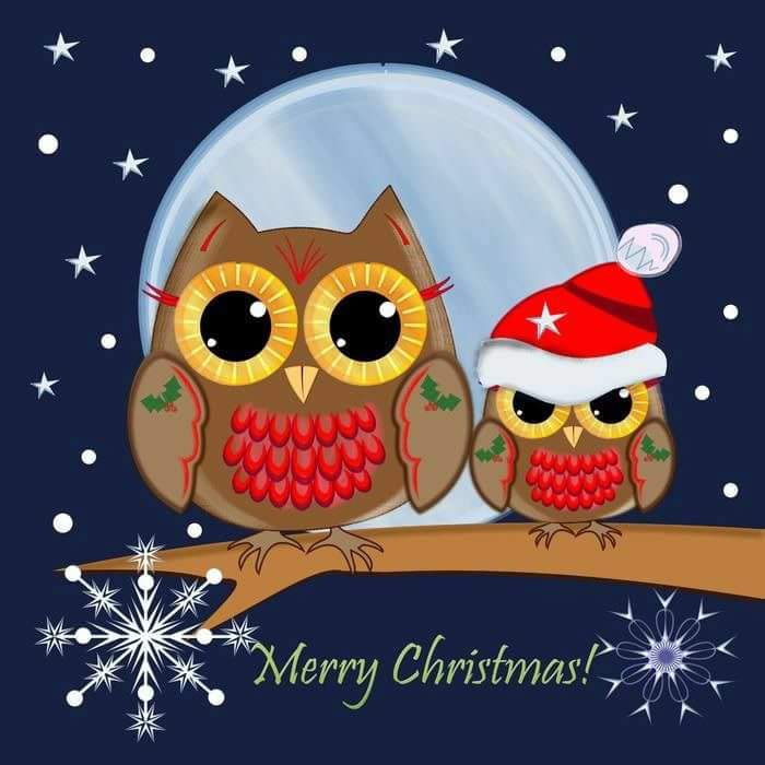 Roxy_Finn's tweet photo. @SoapOperaNation @soapsindepthabc @SoapDigest @SOAPnet @RebeccaBudig @GeneralHospital  Merry Christmas! https://t.co/Hh326Rz80w