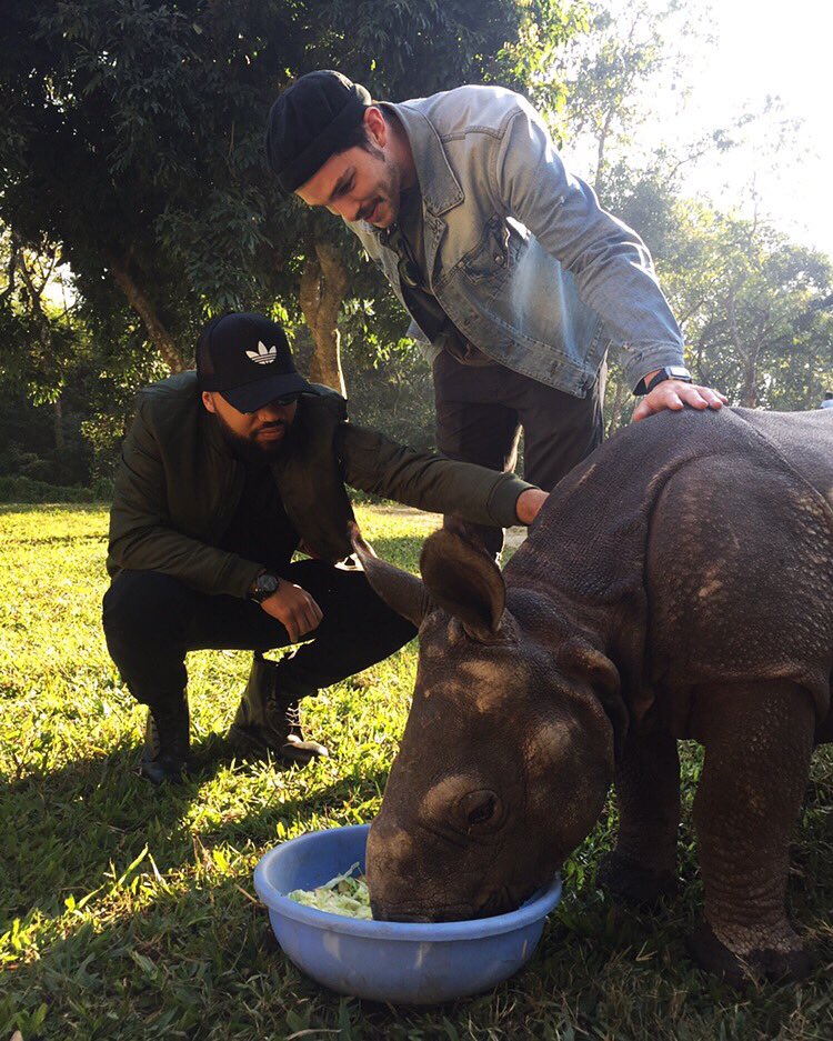 ninadobrev's tweet photo. Please support &amp; donate to my friends @itscarlosjnr @NicholasHoult @wwf &amp; @TeenageCancer https://t.co/4rUJf9Vecr @theghandiwarhols https://t.co/11UCGkP5ow