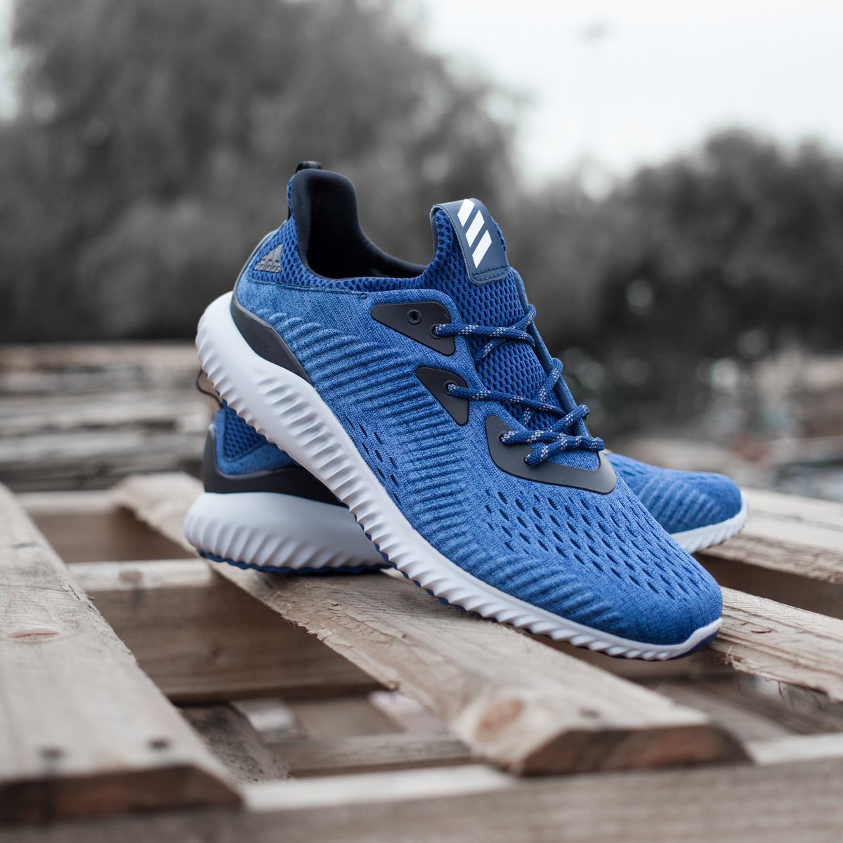alphabounce em blue
