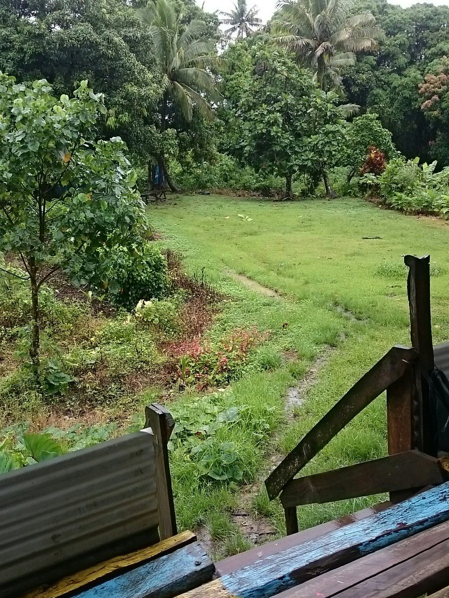 frontiersuva's tweet image. Just a little bit #rainy ☔ here at our #Beqa marine conservation camp! #rainraingoaway #frontierfiji 🇫🇯  #rainforest #tropicalstorm