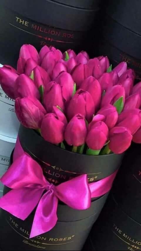 aleoficialg's tweet photo. Llegar a mi casa con estas hermosuras🙊 me fascinaron💅💕. https://t.co/UwIga4oHUV