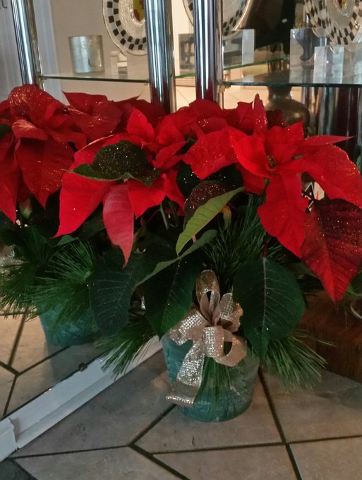 Thank you @69LyghtGent for the beautiful holiday plant.  It is gorgeous!  Muah!!! https://t.co/vZbLN<a class="tags" target="_blank" title="On Twitter" href="/?out=eyJ0eXAiOiJKV1QiLCJhbGciOiJIUzUxMiJ9.eyJpYXQiOjE3MjE3MDIzNzIsImlzcyI6InR3cG9ybnN0YXJzLmNvbSIsIm5iZiI6MTcyMTcwMjM3MiwiZXhwIjoxNzUzMjM4MzcyLCJyZWRpcmVjdF91cmwiOiJodHRwczovL3R3aXR0ZXIuY29tLzY5THlnaHRHZW50In0.YD-kXXHRww--EeSXsccljp2JZq4m2pTEtsAv_s1TXBB1uRya1TJbBxtuO7PwOXvyvKoIFuyM-EhkPHfZhIRiAQ">@69LyghtGent</a>
