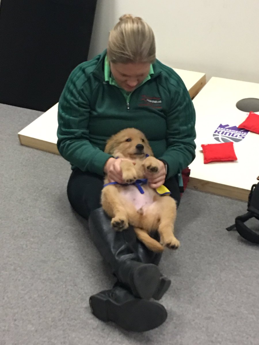 ballplayinmom's tweet photo. Ticha 2 is here for a visit with the Kings Community Team!! #officetherapy @CCIGoldRush @ccicanine @LA03 https://t.co/UTCQTkEHhX