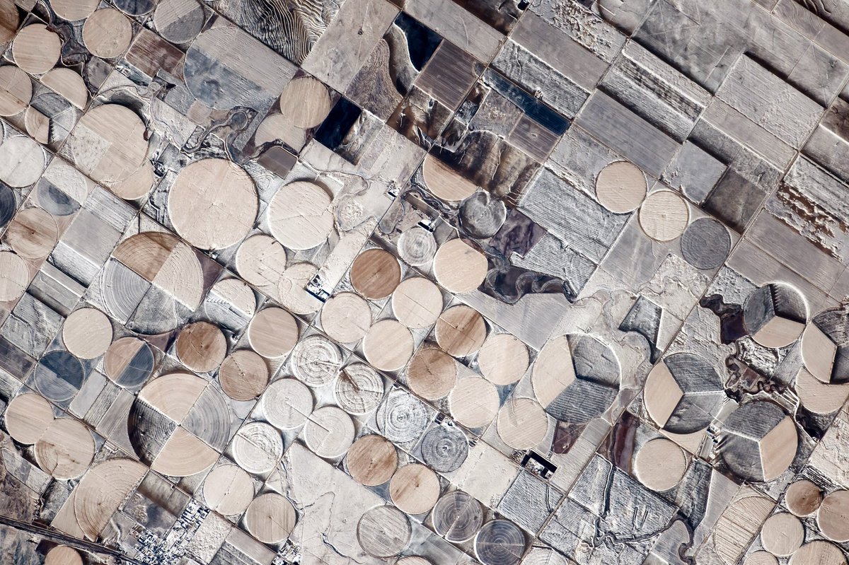 I_We_Gaia's tweet image. Snowy fields in Colorado, U.S. Circles indicate the use of center-pivot irrigation. Photo by @ryazanskiy_ISS of #Exp36/38.🚀 via @roscosmos