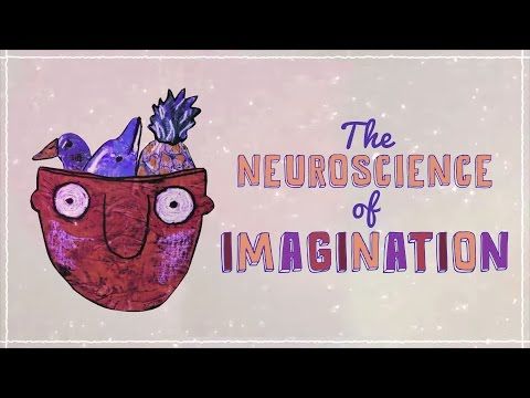 DartEdTech's tweet image. How does your brain produce an image of something you’ve never seen? Vyshedskiy on the #neuroscience of imagination: buff.ly/2huVIBK