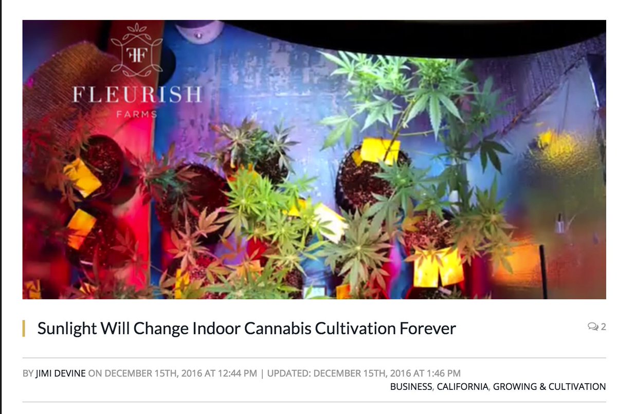 Sunlight Will Change Indoor #Cannabis #Cultivation Forever by <a href="/JimiDevine/">Jimi Devine</a> via @mjdotc - bit.ly/DSSonMJ #SunGrownIndoor #Fleurish