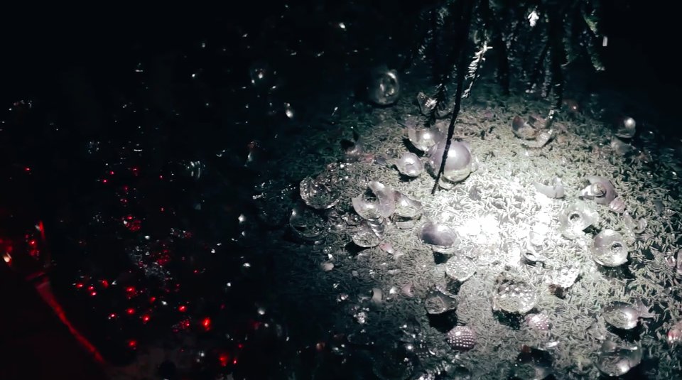 WnotW's tweet photo. Here's a recap w/ pics GIFs &amp; video of our 5th Annual WNW Holiday Party. Thx to our partners @GoinUpLA &amp; @AlldayNYC. https://t.co/bpQ38S89gp https://t.co/EGGR0sSV3v