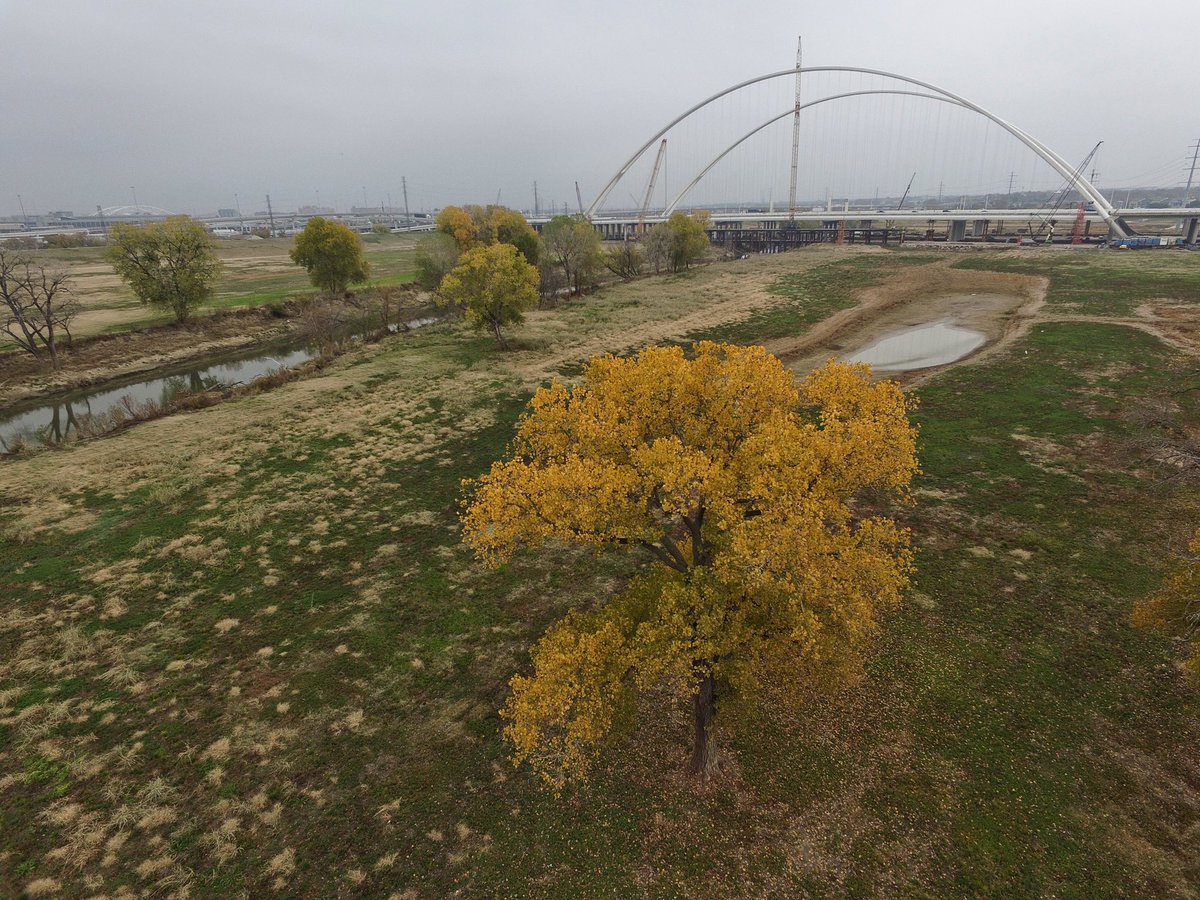 pdward85's tweet image. Beautiful day over the #trinityriver #dallastx @dallasnews @RobertWilonsky @NBCDFW @NBCNightlyNews @trinitygroves @MeredithNBC5 @mcuban