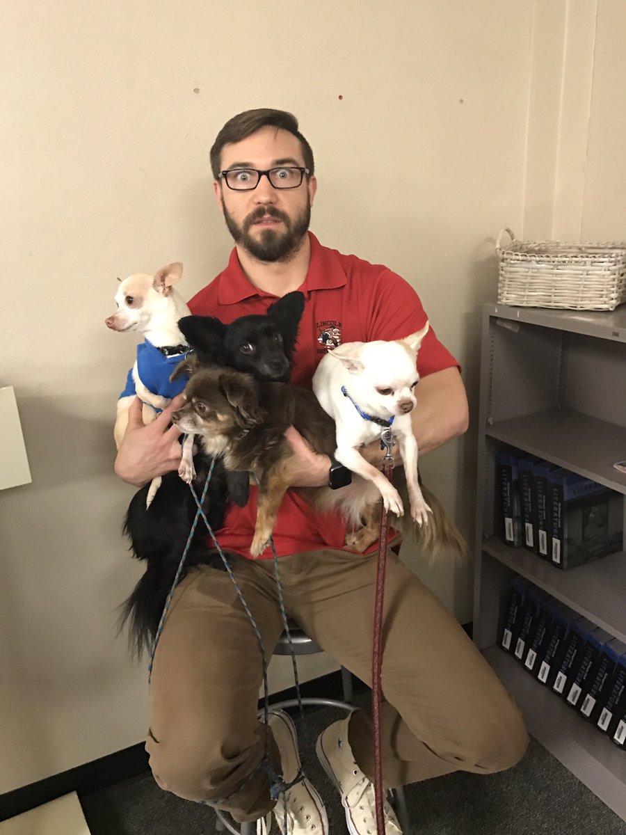 LHSPuppyClub's tweet photo. Thanks for sharing all four chihuahuas with Puppy Club, Aukerman! 🐾🐶 https://t.co/QiNvIufmbN