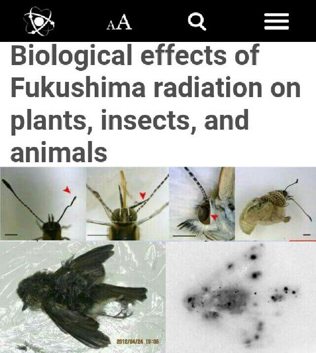 Fukushima Exposed on Twitter: 
